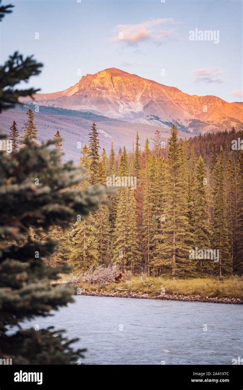 Autumn Landscape In The Canadian Rockies Stock Photo Alamy