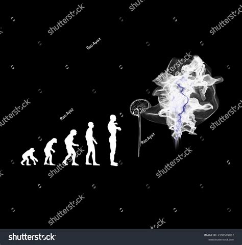 Evolution Backwards Black White Background Evolution Stock Illustration