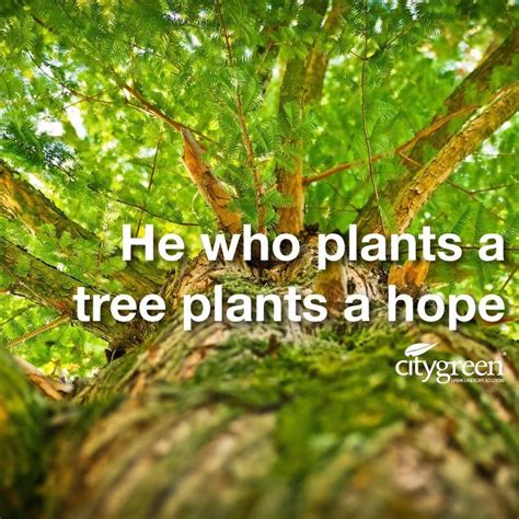 Nature Quote He Who Plants A Tree Plants A Hope 1000 Trees To