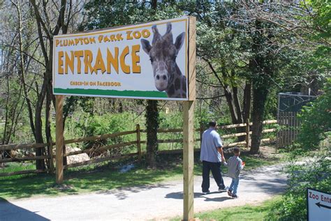 Thriving And Growing The Plumpton Park Zoos Success Story Cecil