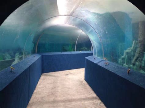 Aquarium Fish Tunnel To Uc Acrylic Technology