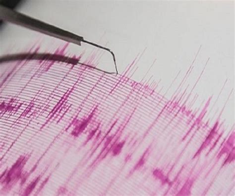 Mild-intensity earthquake reported in Karnataka's Hassan district | The News Minute