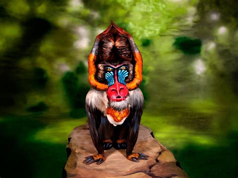 Artist Creates Animal Optical Illusions Using Humans And Body Paint