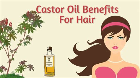 Benefits Of Castor Oil On Hair 12 Effective Hair Masks With Castor Oil