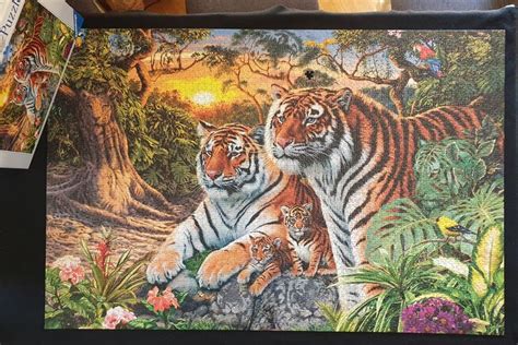 Ravensburger 3000 Pieces Hidden Tiger Hidden Images Animal Puzzle