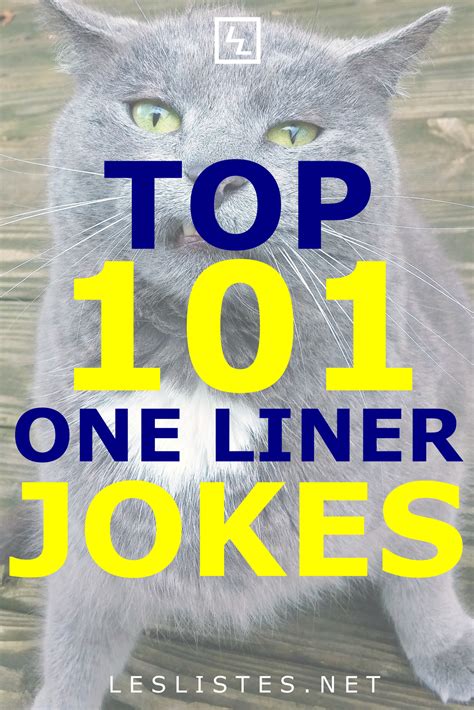 Top Alligator Jokes That Will Make You Lol Les Listes Artofit