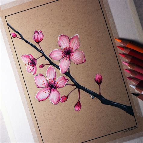 Cherry Blossom Drawing By Lethalchris On Deviantart