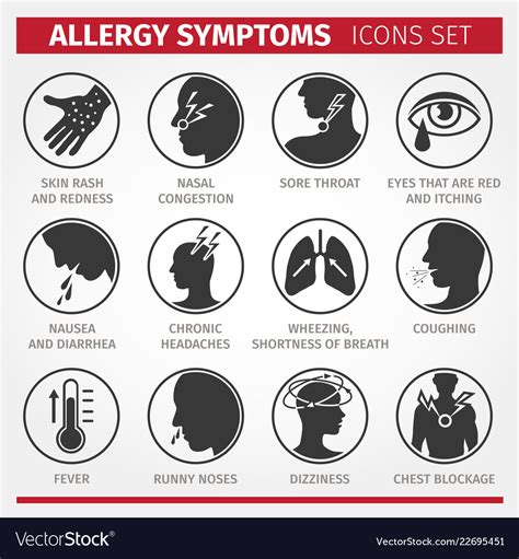 Signs And Symptoms Of Allergies Icons Royalty Free Vector