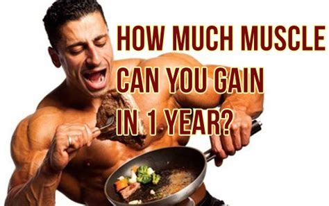 How Much Muscle Can You Gain In A Yeara Month Musclehack By Mark