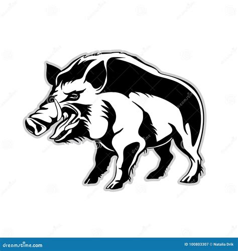 Silhouette Of A Wild Boar A Wild Pig Stock Vector Illustration Of