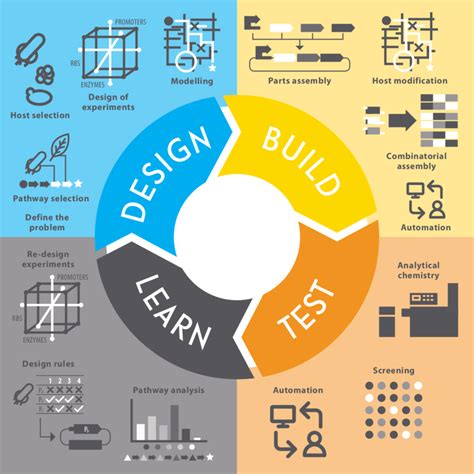 Iterative Design Build Test Learn Dbtl Cycle Download Scientific