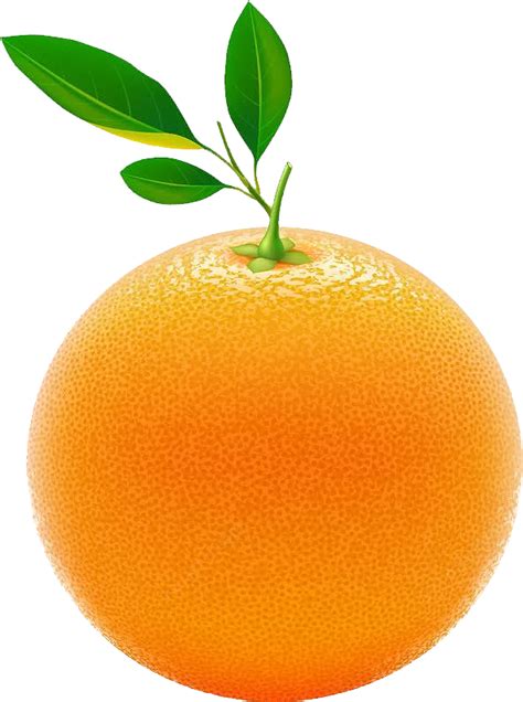 橙子新鲜香橙橘子免抠png素材