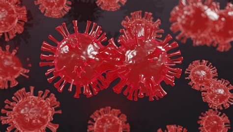 Corona Infizierte Beherbergen Zahlreiche Virusvarianten Aponetde