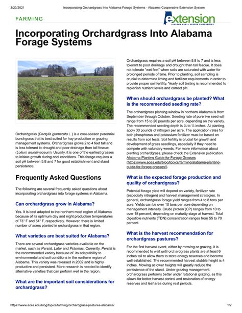 Pdf Incorporating Orchardgrass Into Alabama Forage Systems Alabama