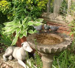 Help us save more dogs at. Burying Your Dog at Home | Pet Home Burial | D for Dog