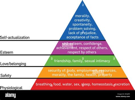 Maslows Hierarchy Infographic With Explanations Stock Illustration My XXX Hot Girl