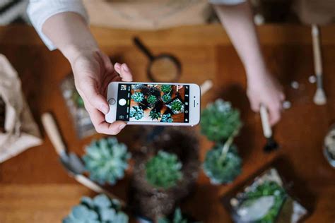 Organic Instagram Marketing Your Need To Know For 2021