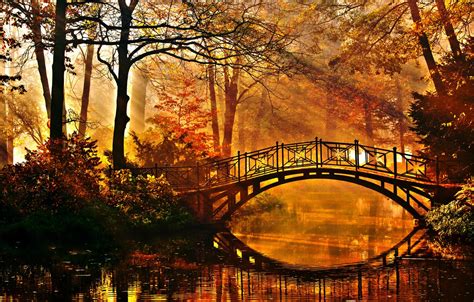 Wallpaper Autumn Trees Bridge Pond Park The Rays Of The Sun The
