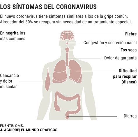 Síntomas Del Coronavirus Tratamiento Y Cómo Evitar El Contagio De