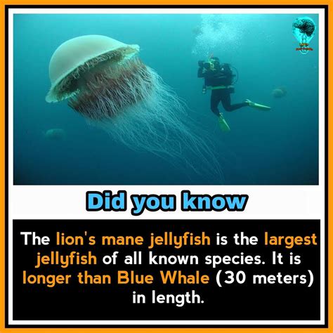 Pin By Aditri Singh On Fun Facts Amazing Science Facts Unbelievable