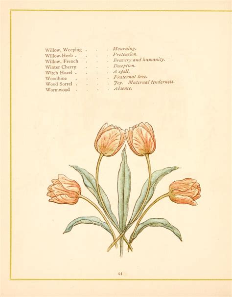 Language Of Flowers Greenaway Kate 1846 1901 Free Download