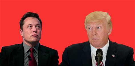 Everything Elon Musk Has Ever Said About Donald Trump