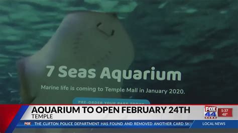 7 Seas Aquarium Opening Soon In Temple Youtube