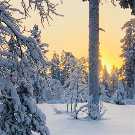 Time For Some Chills Deep Into Finnish Lapland Saariselkä Ivalo