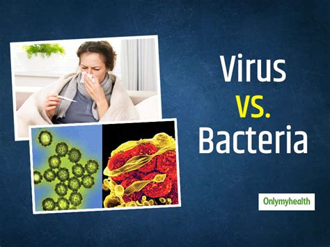 Virus Vs Bacteria Understand The Difference Between Bacterial And