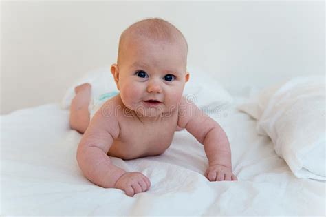 Newborn Infant Baby Stock Photo Image Of Face Life 112654672