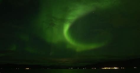 Combination 6 Hour Whale Watching Boat Tour And Northern Lights Hunt With
