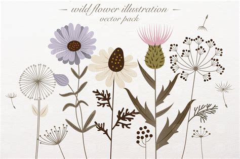 Wild Flower Illustration Pre Designed Illustrator Graphics ~ Creative