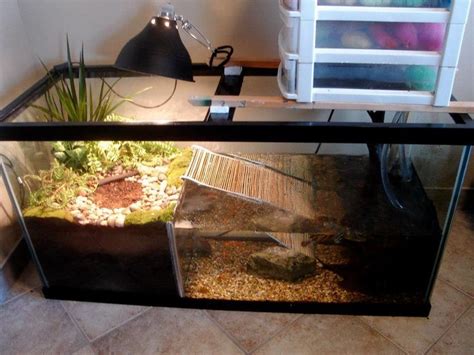 57 Best Turtle Tank Ideas Images On Pinterest Fish Tanks Turtle