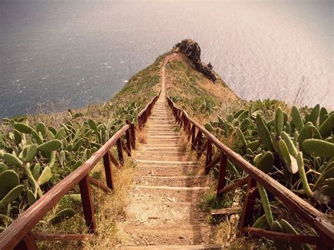 9 Reasons To Visit Madeira During The Fall Winter