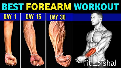 Home Forearms Workout Forearms Workout At Home Wrist Exercise At