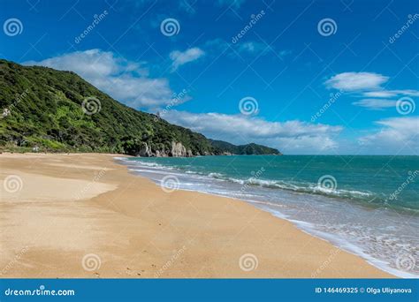 Spiaggia Di Sabbia Ed Oceano Pacifici Con Le Onde Baia Di Tasman Area
