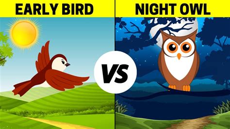 Early Birds vs Night Owls - YouTube