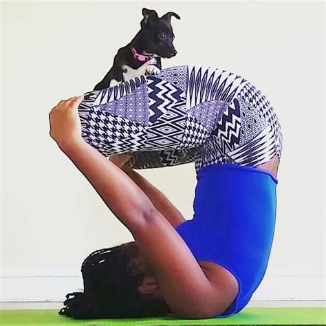 21 Dogs Doing Yoga Or Interrupting Their Owners Doing Yoga How To