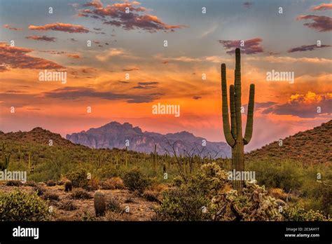 Sunset In The Sonoran Desert Near Phoenix Arizona Stock Photo Alamy