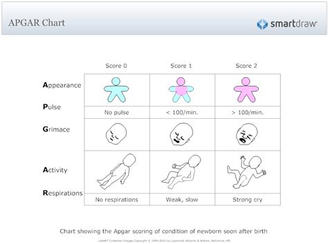 Apgar Chart Chart Nclex Ob Nursing