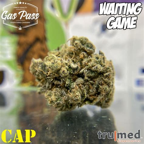 The Gas Pass Waiting Game By Trumed Hippy Life Entertainment