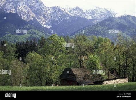 Europe Poland Carpathian Mts Zakopane Tatra Mountains Spring