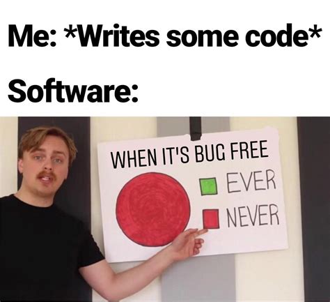 Software Bug Meme