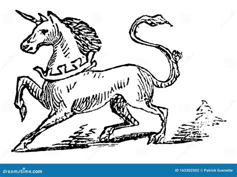 Unicorn Vintage Illustration Stock Vector Illustration Of Engraving