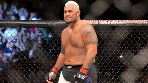 Mark Hunt Complete Profile Height Weight Fight Stats Middleeasy
