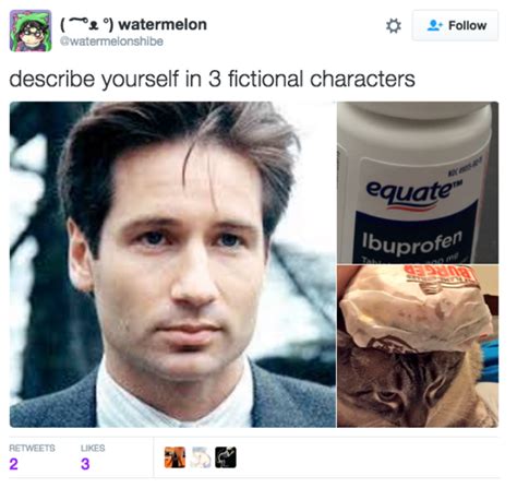 Watermelonshibe Tweet Describe Yourself In Fictional Characters Know Your Meme