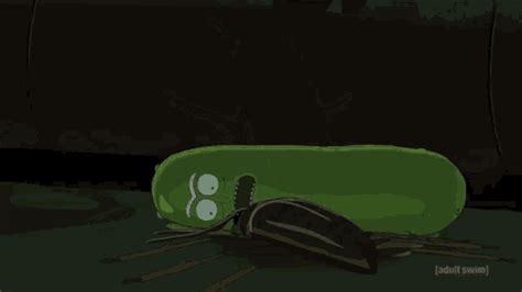 Pickle Rick Vs Cockroach  Rick And Morty Pickle Rick Cockroach