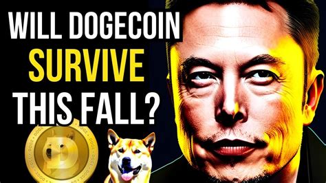 Dogecoin Doge Price Predictions Whats Next Youtube