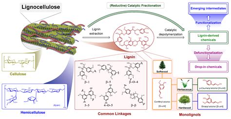 Molecules Free Full Text Development Of ‘lignin First Approaches For The Valorization Of