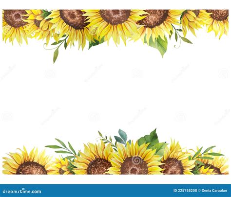 Watercolor Sunflower Frame Sunflower Border Floral Frame With